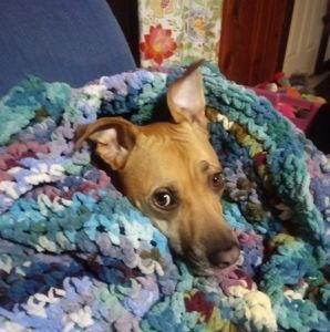 Meet your Posher, Jamie